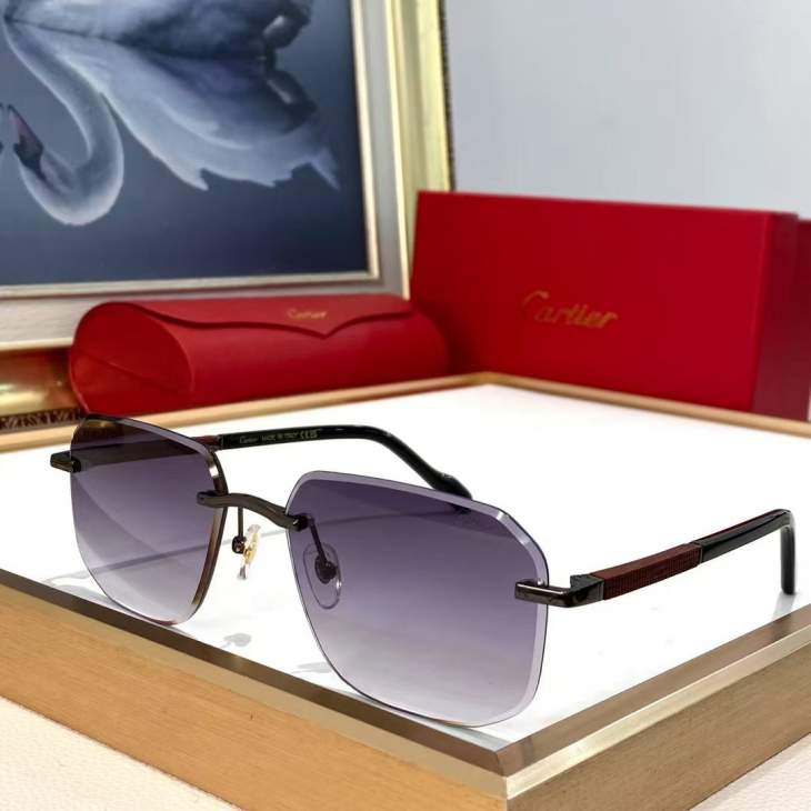 Picture of Cartier Sunglasses _SKUfw79616095fw